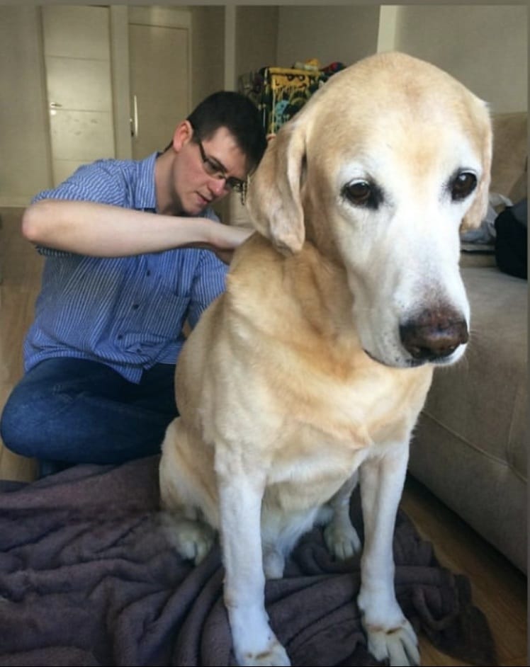 Dr. Cameron atendendo um cachorro